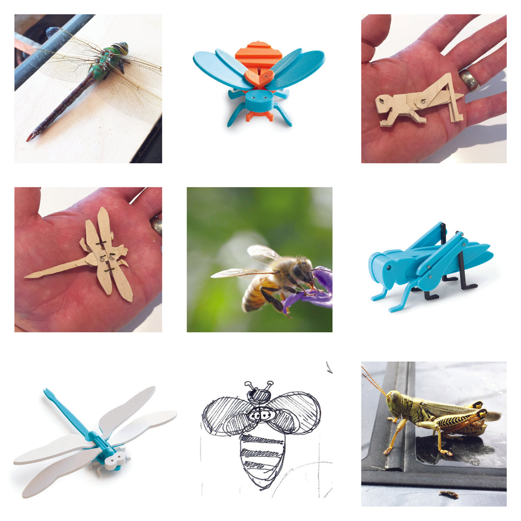 design inspirations