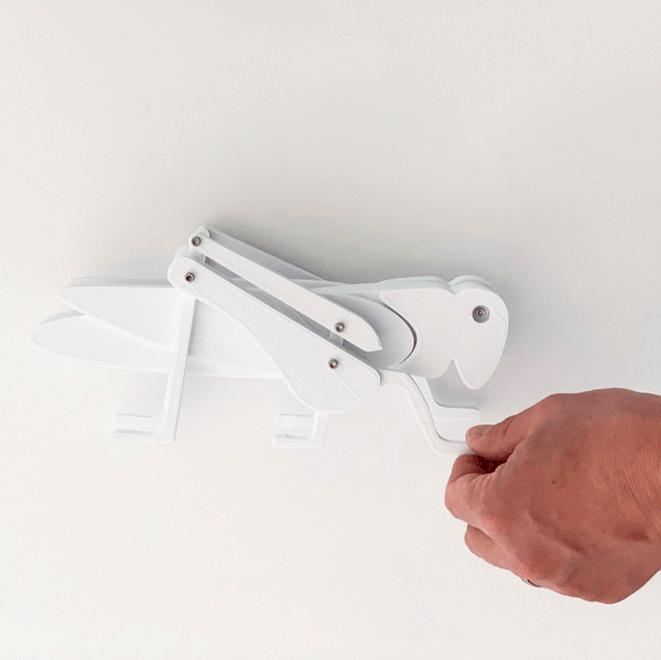 Educational Toy Eric Jacoby Design