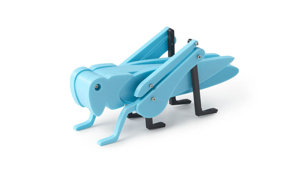 Blue grasshopper toy