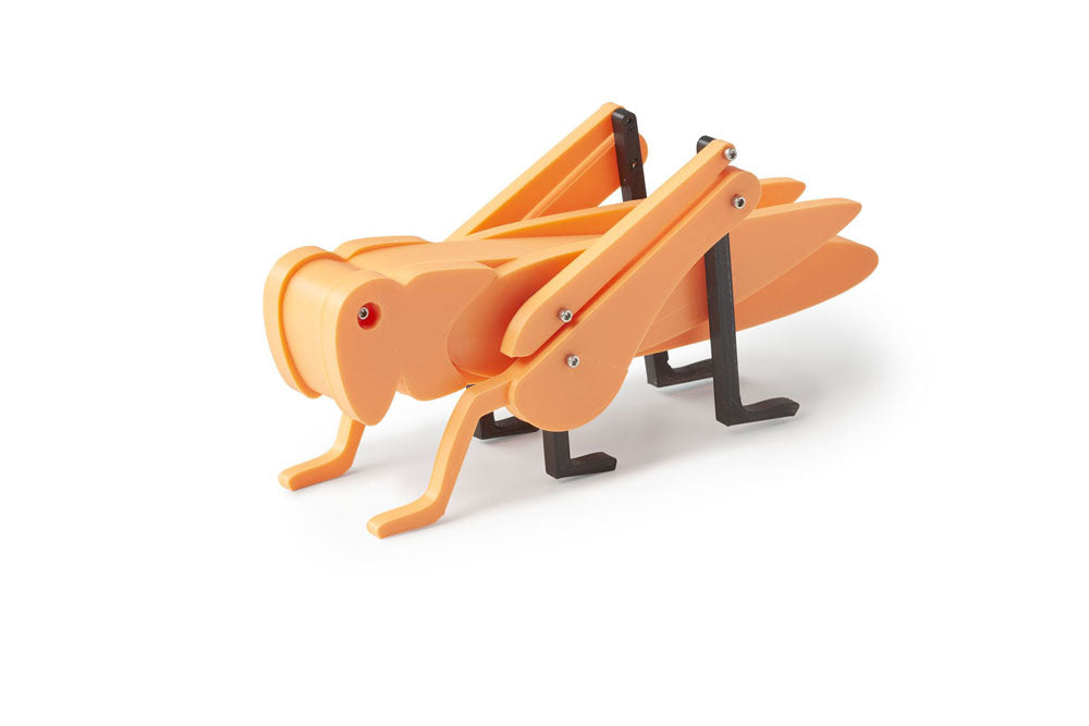 Orange grasshopper toy