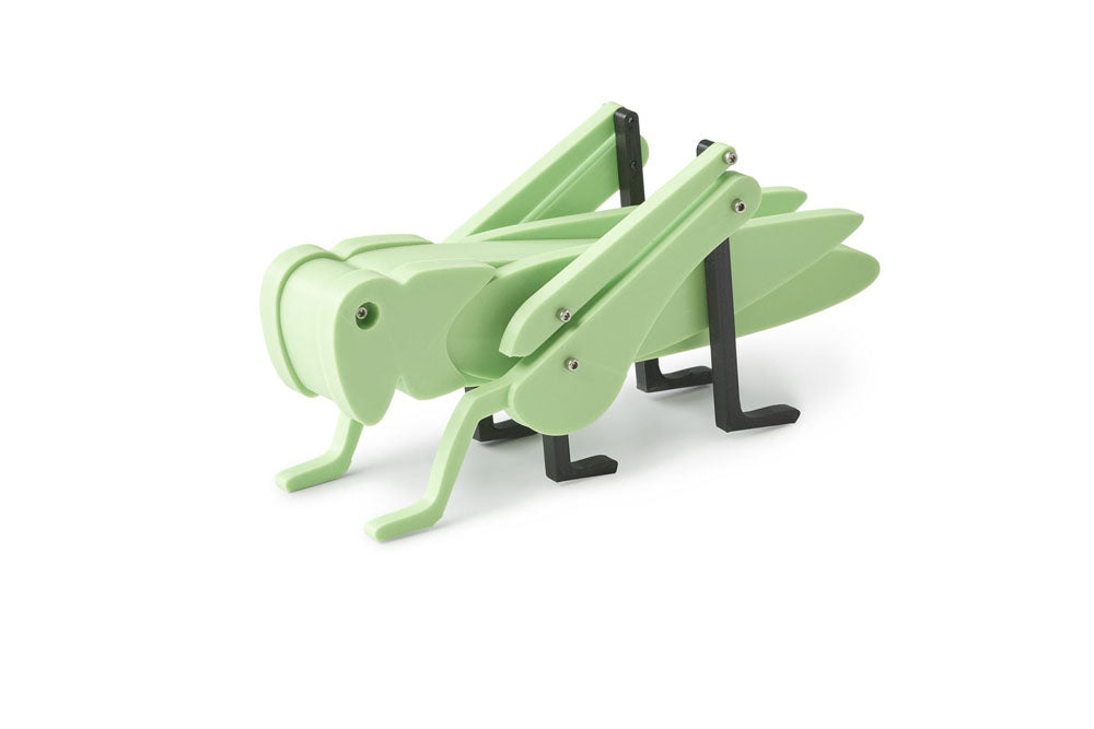 Green grasshopper toy