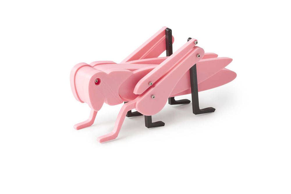 pink grasshopper toy