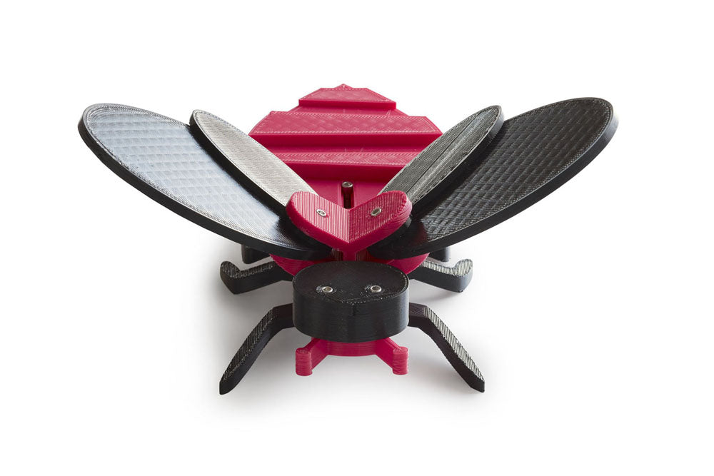 front view of bee, magenta and black