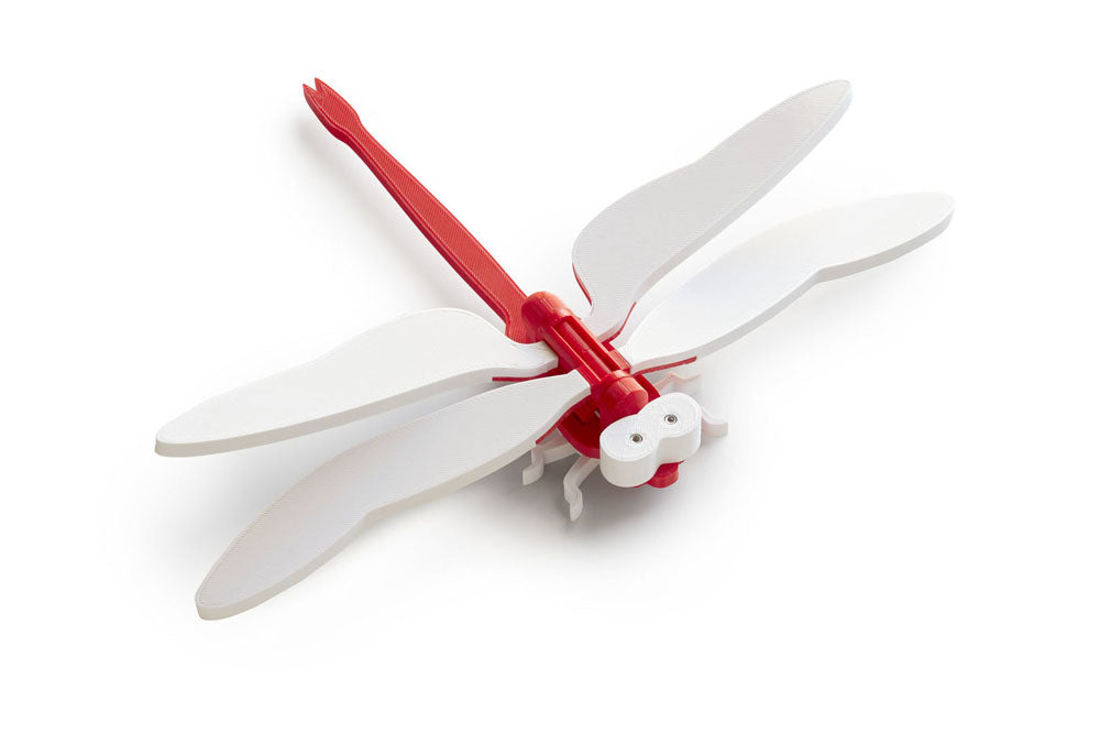 red educational dragonfly toy